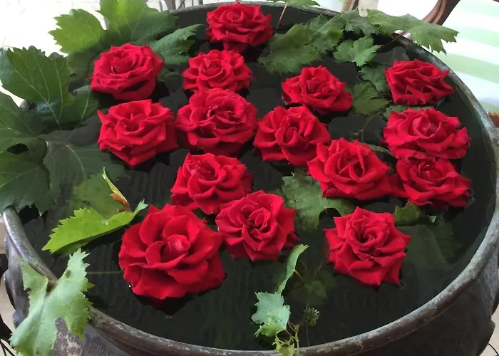 Eveline 2 - Piscina Privata O Jacuzzi Hotell Sanremo